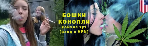 не бодяженный Михайлов