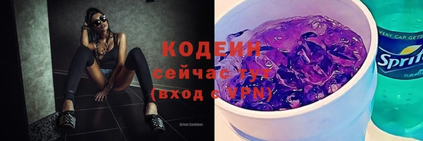 ECSTASY Гусев