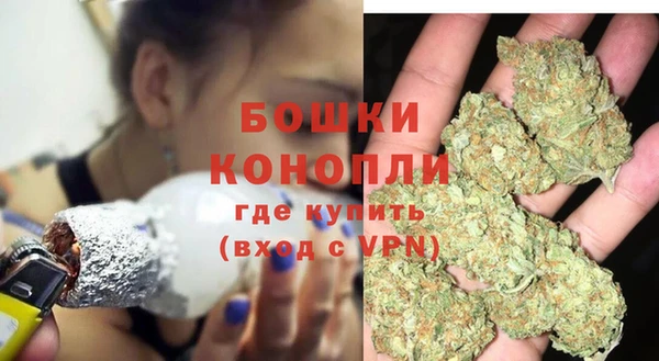 ECSTASY Гусев
