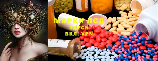 ECSTASY Гусев