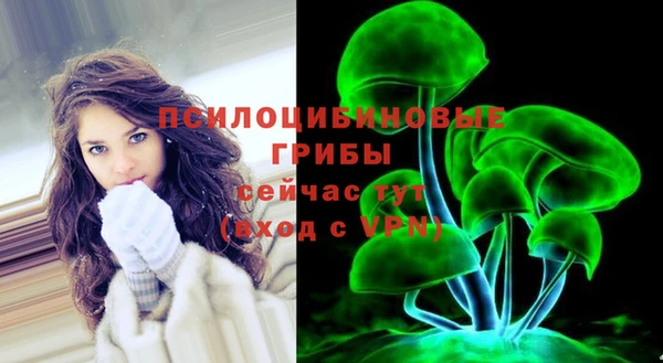 альфа пвп Гусь-Хрустальный