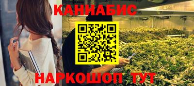 амф Гай