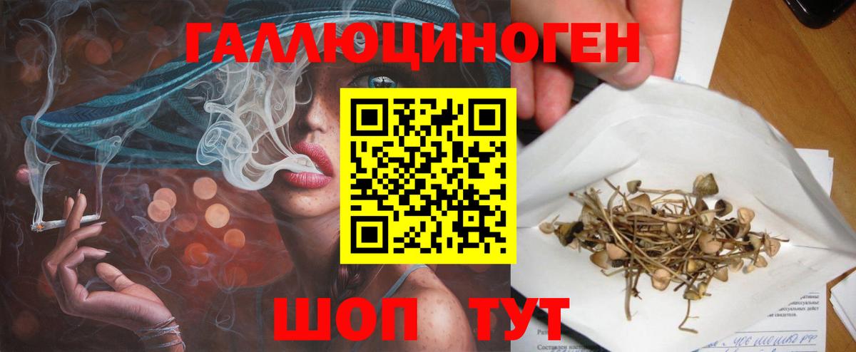 Галлюциногенные грибы Magic Shrooms Дмитров